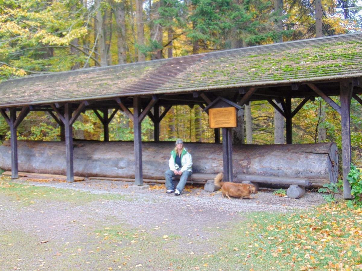 Retro Kemp Pod Boubinem Horni Vltavice Exterior photo